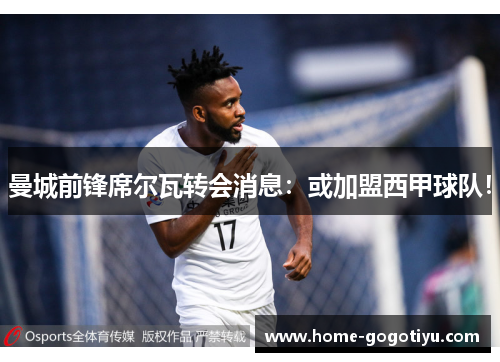 曼城前锋席尔瓦转会消息：或加盟西甲球队！